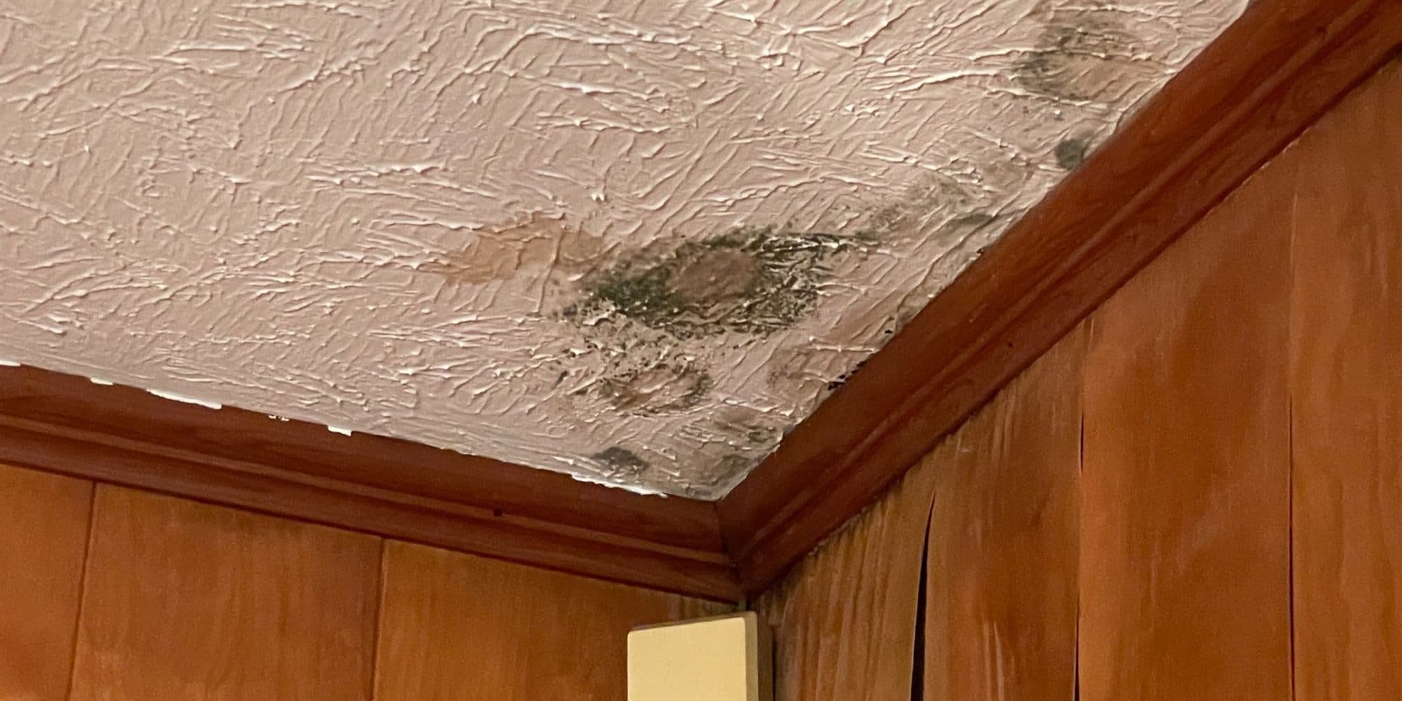 Ceiling water stains from a roof leak, found during an inspection